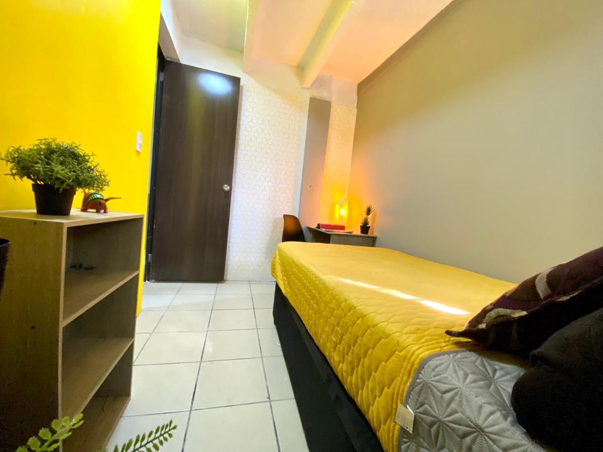 Roomies Hostel - Santa Maria La Ribera Mexico Extérieur photo