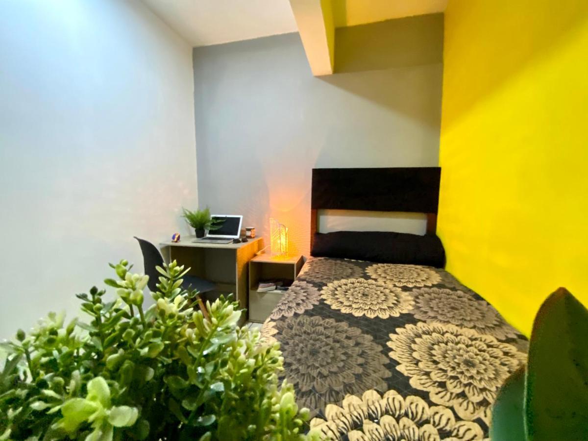 Roomies Hostel - Santa Maria La Ribera Mexico Extérieur photo